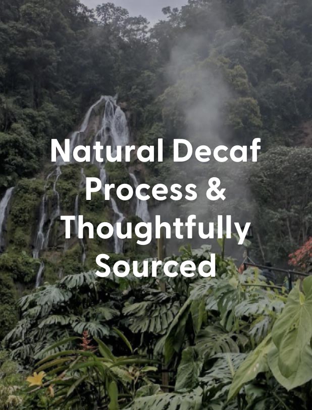Natural Decaf Process
